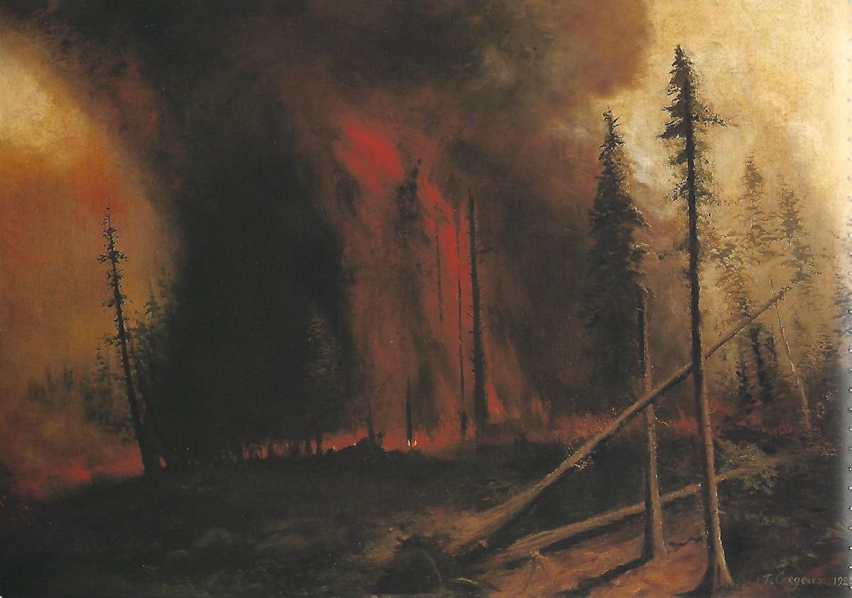Stubborn Fire — preview image